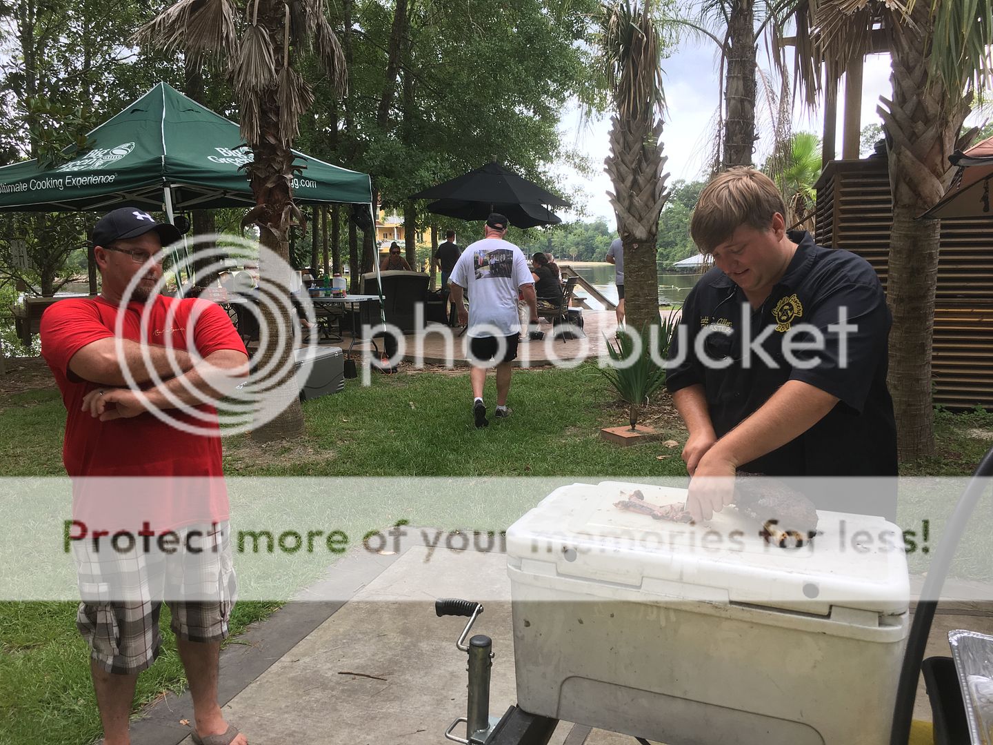 Image: http://i756.photobucket.com/albums/xx201/deepsouth1970/album%20050313/1512A456-A0FD-40D1-8034-1B5912689064_zps0lw5ixao.jpg