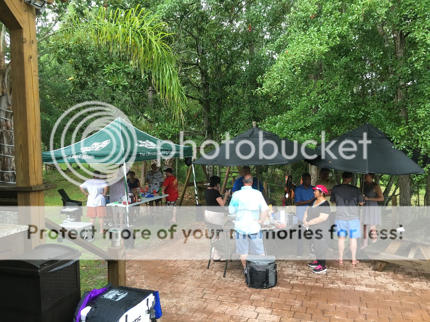 Image: http://i756.photobucket.com/albums/xx201/deepsouth1970/album%20050313/B24B2944-E7C5-4BBA-B397-EB4E425FDFBC_zpseye6z9t1.jpg