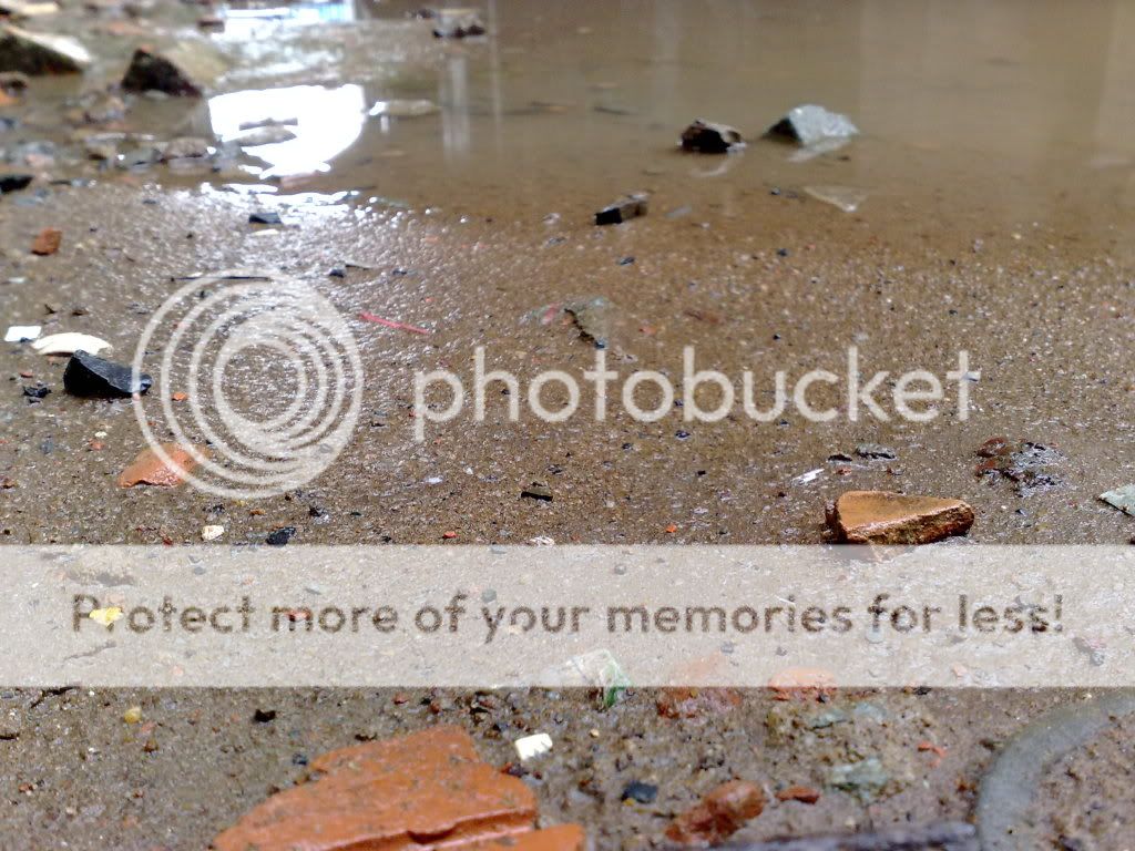 topic về những hình ảnh chụp bằng điện thoại di động