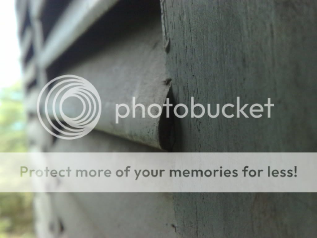 topic về những hình ảnh chụp bằng điện thoại di động - 1