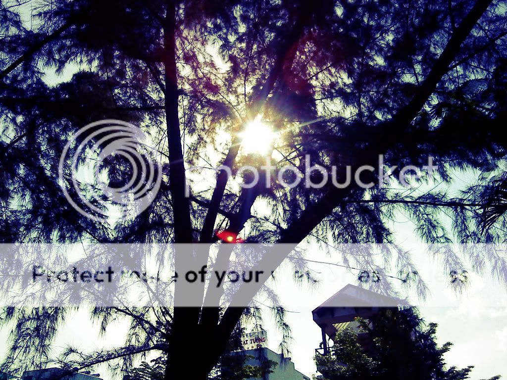 topic về những hình ảnh chụp bằng điện thoại di động - 2