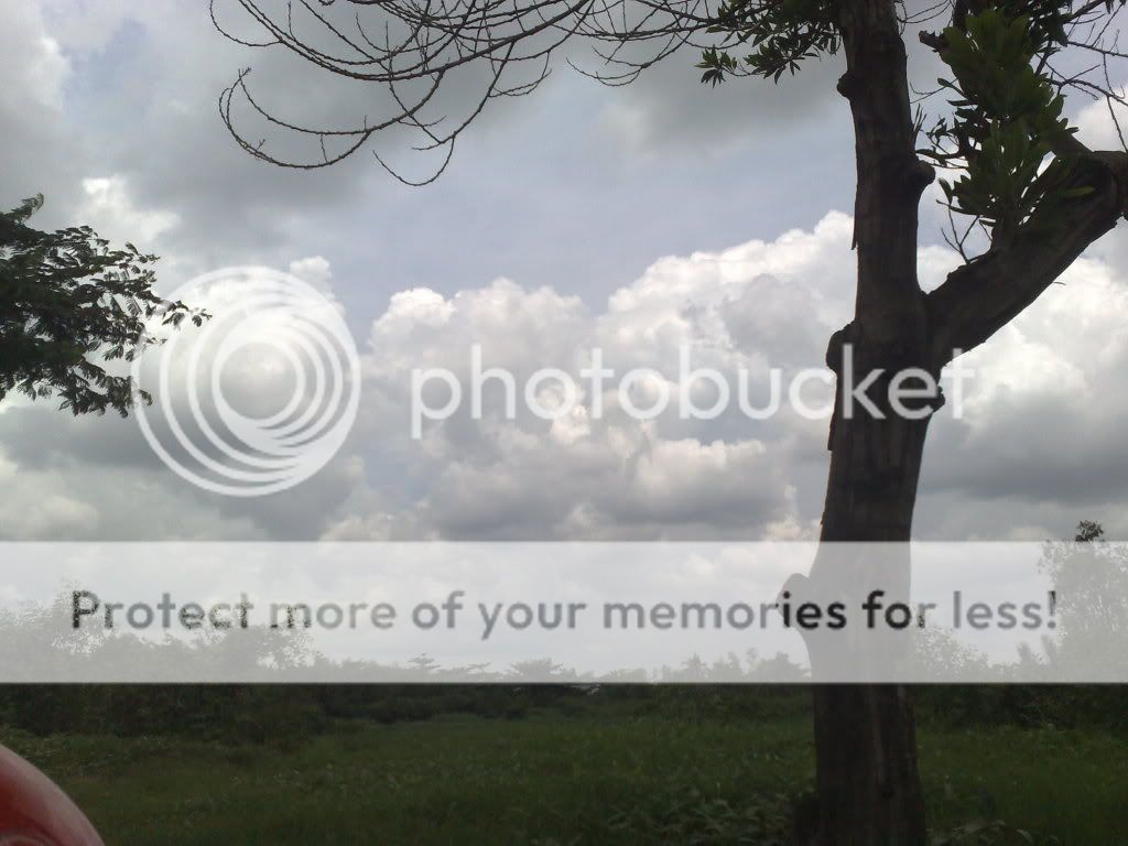 topic về những hình ảnh chụp bằng điện thoại di động - 1