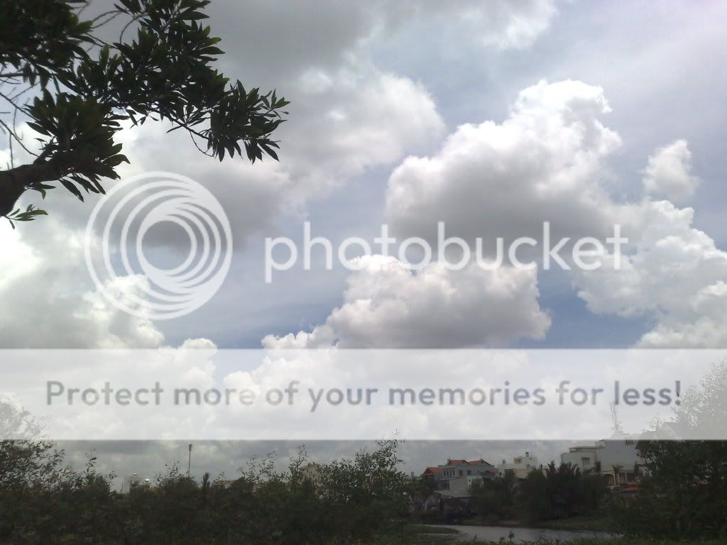 topic về những hình ảnh chụp bằng điện thoại di động - 2