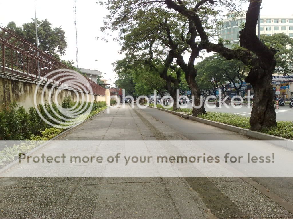 topic về những hình ảnh chụp bằng điện thoại di động