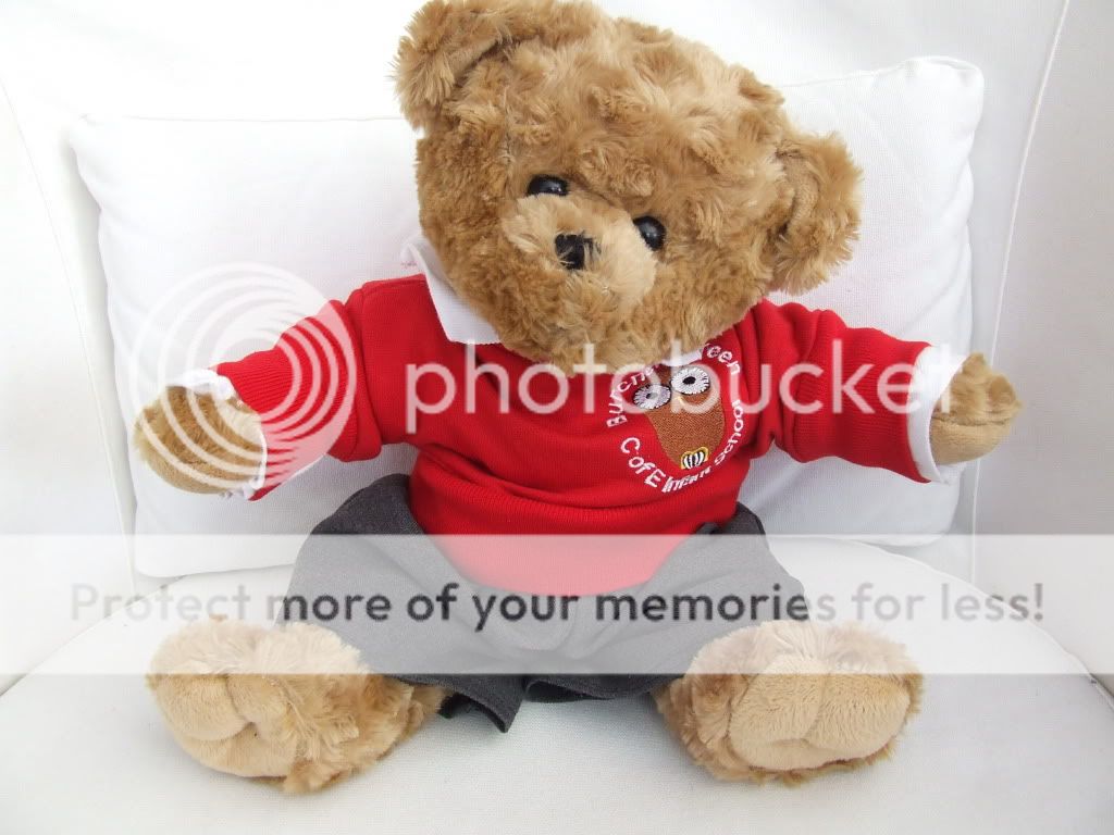 Build A Bear Kits Bulk Build A Bear Kits Bulk